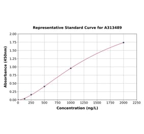 Standard Curve - Human PTHLH ELISA Kit (A313489) - Antibodies.com