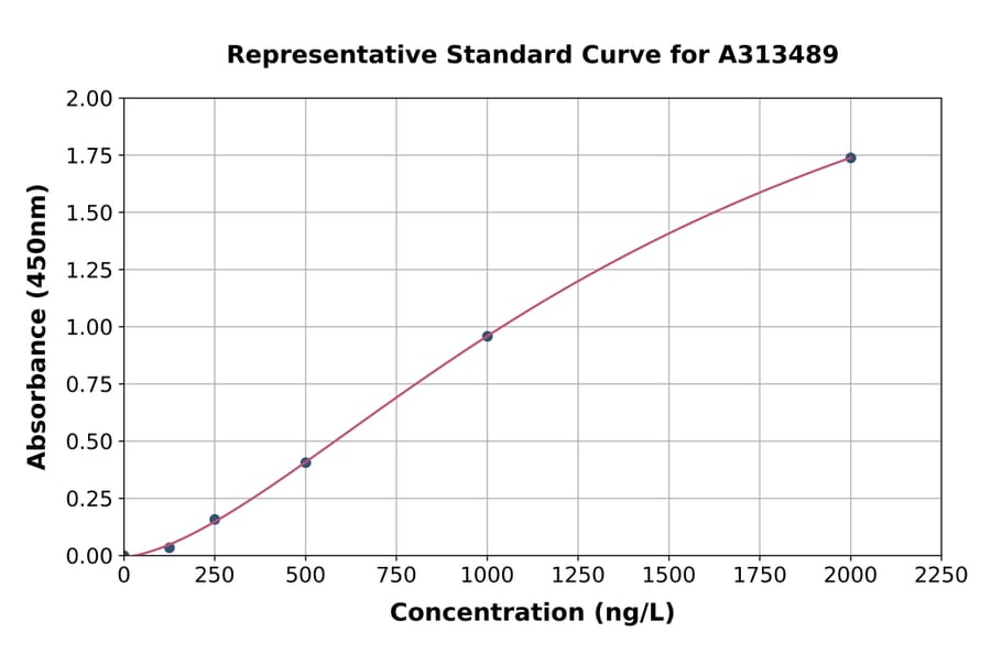 Standard Curve - Human PTHLH ELISA Kit (A313489) - Antibodies.com