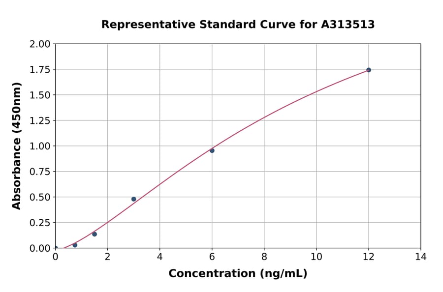 Standard Curve - Human Caspase-4 ELISA Kit (A313513) - Antibodies.com