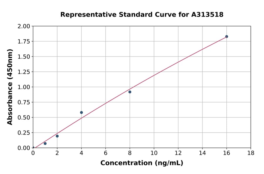 Standard Curve - Human 5T4 ELISA Kit (A313518) - Antibodies.com