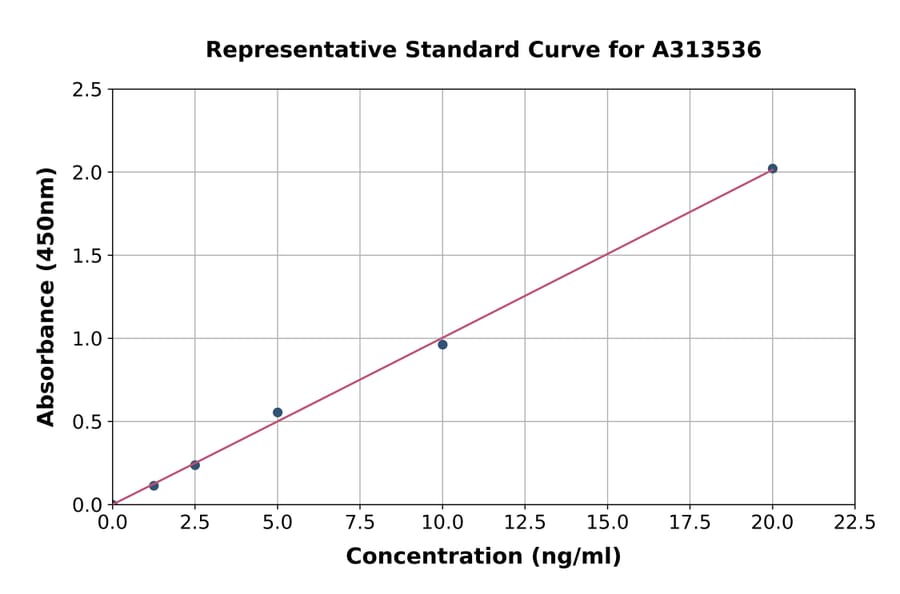 Standard Curve - Human CYLC1 ELISA Kit (A313536) - Antibodies.com