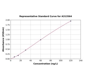 Standard Curve - Human IRS2 ELISA Kit (A313564) - Antibodies.com