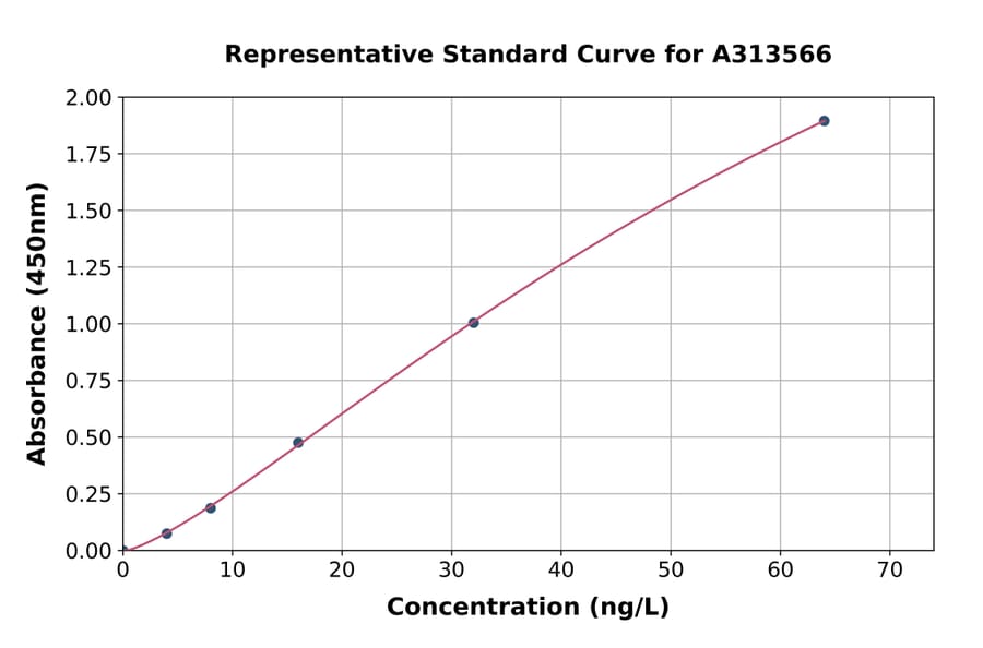 Standard Curve - Mouse TGF beta 2 ELISA Kit (A313566) - Antibodies.com