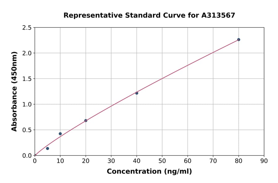 Standard Curve - Human SFRP2 ELISA Kit (A313567) - Antibodies.com