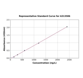 Standard Curve - Human SR1 ELISA Kit (A313586) - Antibodies.com