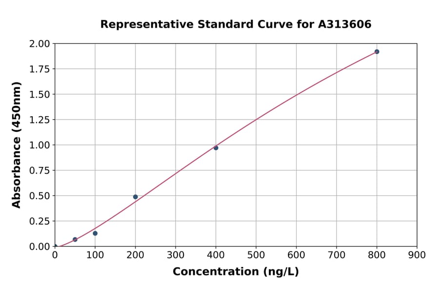 Standard Curve - Human DNAH12 ELISA Kit (A313606) - Antibodies.com