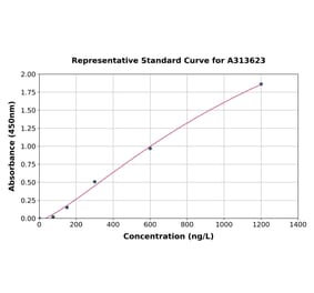 Standard Curve - Human PAG608 ELISA Kit (A313623) - Antibodies.com