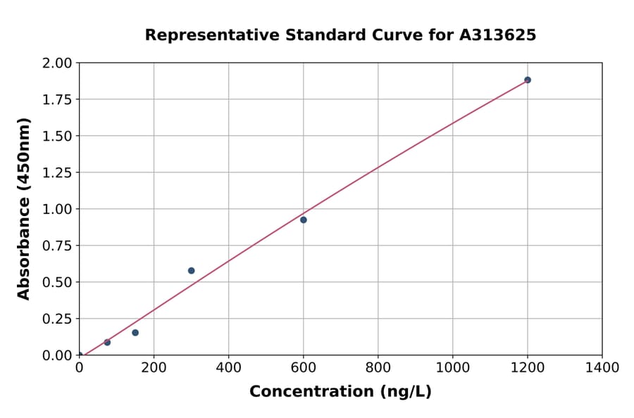 Standard Curve - Human NDUFS7 ELISA Kit (A313625) - Antibodies.com