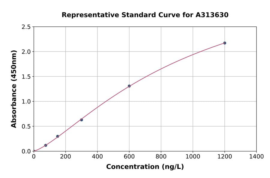 Standard Curve - Mouse Cyclin B1 ELISA Kit (A313630) - Antibodies.com