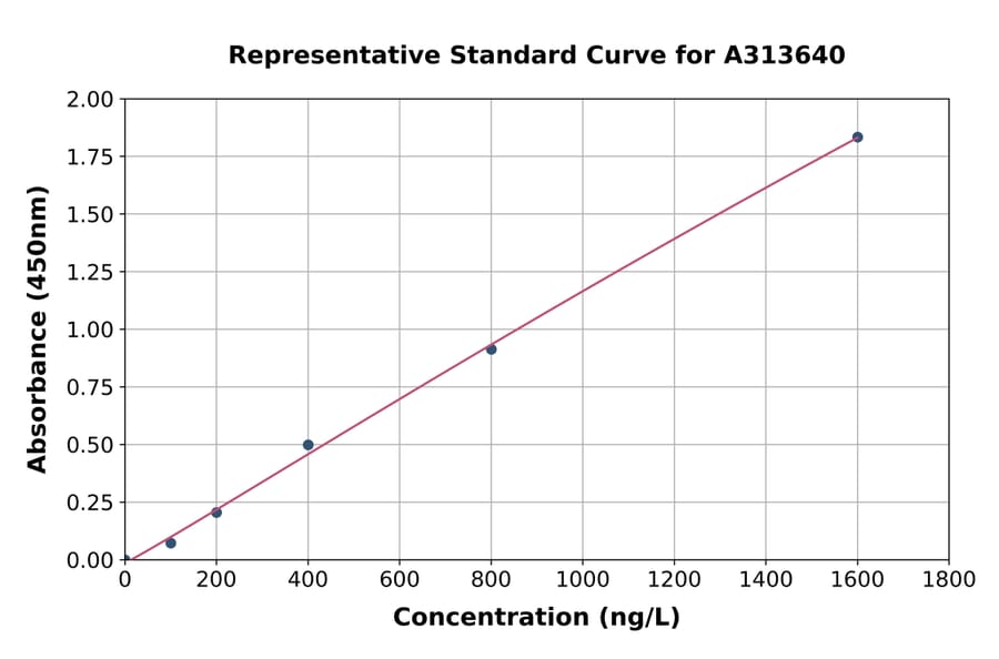 Standard Curve - Human PER2 ELISA Kit (A313640) - Antibodies.com