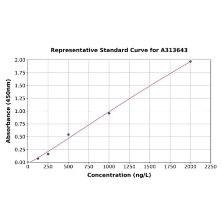 Standard Curve - Human AKAP12 ELISA Kit (A313643) - Antibodies.com