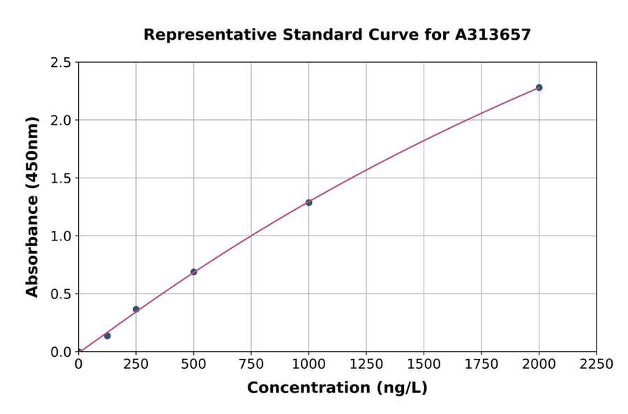 Standard Curve - Human cGKII ELISA Kit (A313657) - Antibodies.com