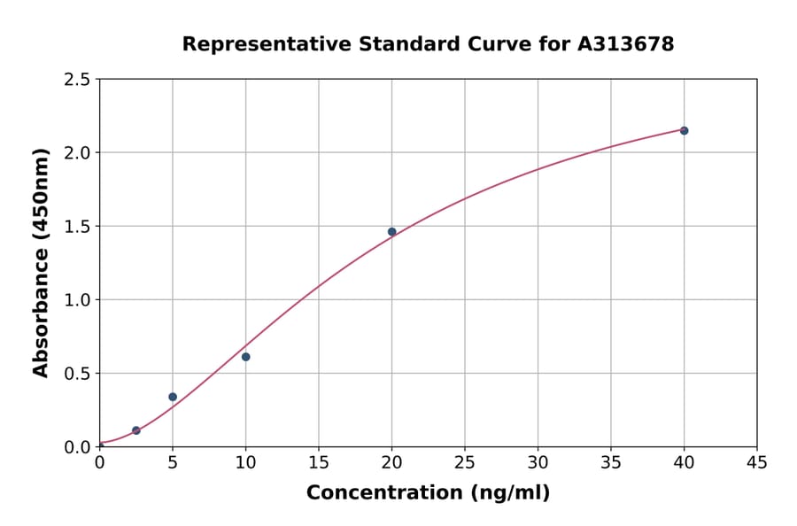 Standard Curve - Human Ornithine Decarboxylase / ODC ELISA Kit (A313678) - Antibodies.com