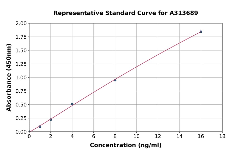 Standard Curve - Human PYGL ELISA Kit (A313689) - Antibodies.com