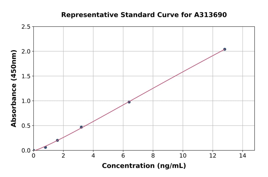 Standard Curve - Human GPCR TGR5 ELISA Kit (A313690) - Antibodies.com