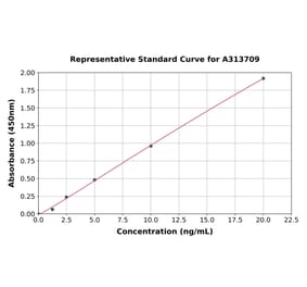 Standard Curve - Human HDAC8 ELISA Kit (A313709) - Antibodies.com