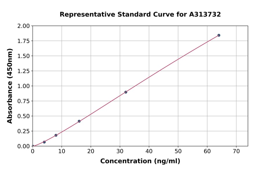 Standard Curve - Human COX2 ELISA Kit (A313732) - Antibodies.com