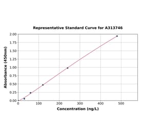 Standard Curve - Human TNF alpha ELISA Kit (A313746) - Antibodies.com
