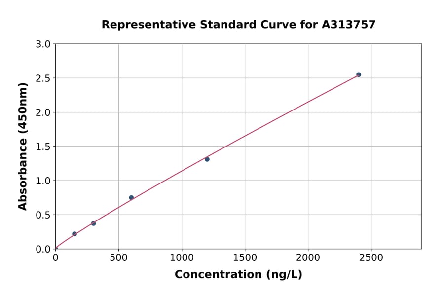 Standard Curve - Human Fascin ELISA Kit (A313757) - Antibodies.com