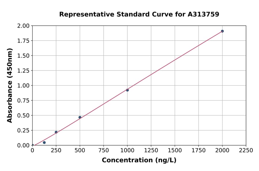 Standard Curve - Human CLSTN1 ELISA Kit (A313759) - Antibodies.com