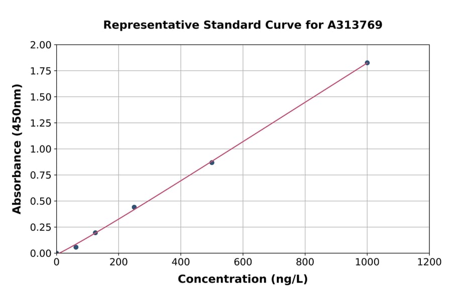 Standard Curve - Human Bad ELISA Kit (A313769) - Antibodies.com