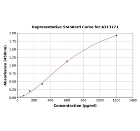 Standard Curve - Human SCF ELISA Kit (A313771) - Antibodies.com