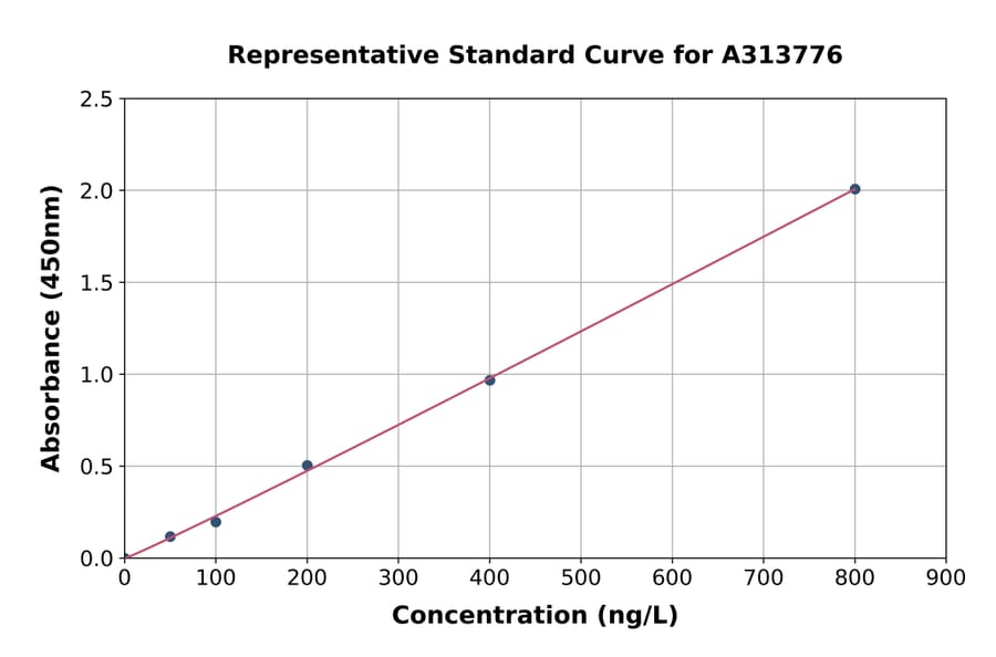 Standard Curve - Human ZFHX4 ELISA Kit (A313776) - Antibodies.com