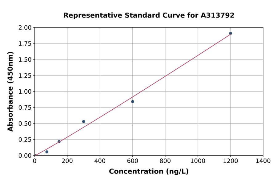Standard Curve - Human ACSM2B ELISA Kit (A313792) - Antibodies.com