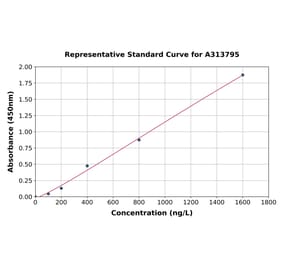 Standard Curve - Mouse Has2 ELISA Kit (A313795) - Antibodies.com