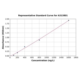 Standard Curve - Human GCH1 ELISA Kit (A313801) - Antibodies.com