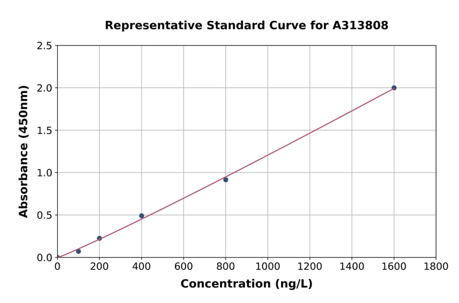 Standard Curve - Human FOXP1 ELISA Kit (A313808) - Antibodies.com