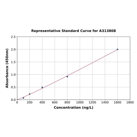 Standard Curve - Human FOXP1 ELISA Kit (A313808) - Antibodies.com