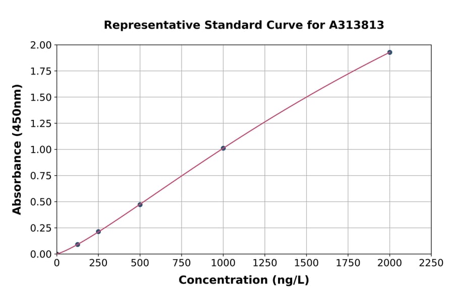 Standard Curve - Human ZMYND15 ELISA Kit (A313813) - Antibodies.com