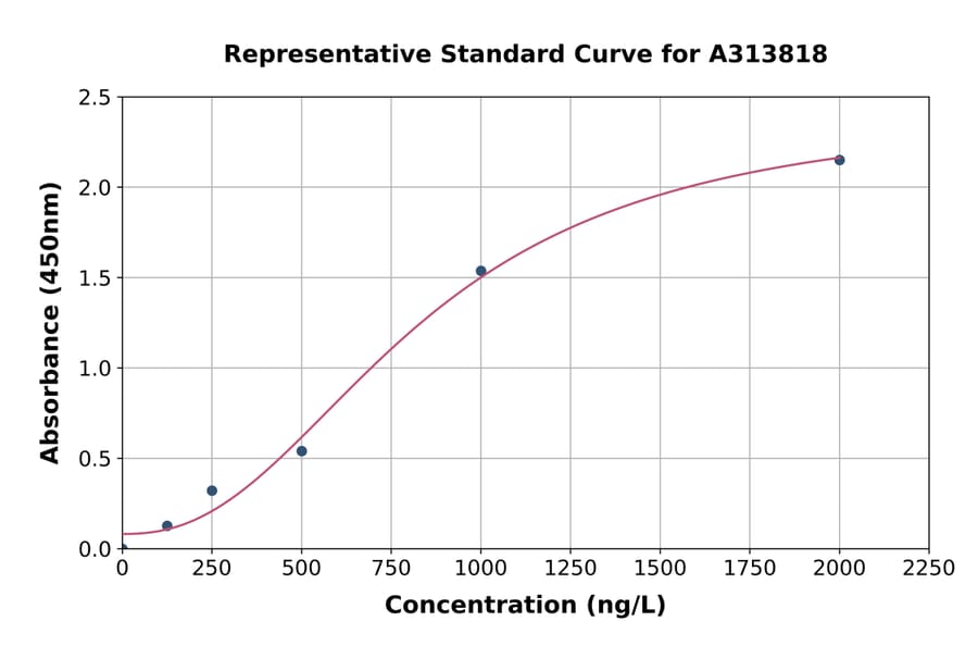 Standard Curve - Human NDRG1 ELISA Kit (A313818) - Antibodies.com