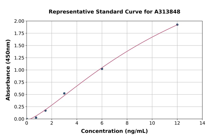 Standard Curve - Mouse ADAMTS1 ELISA Kit (A313848) - Antibodies.com