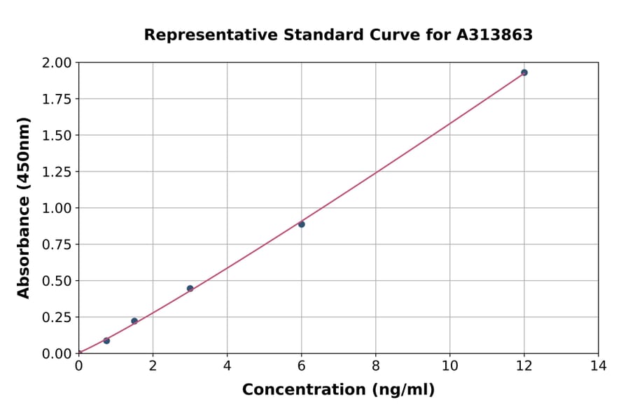 Standard Curve - Human MCK10 / NEP ELISA Kit (A313863) - Antibodies.com