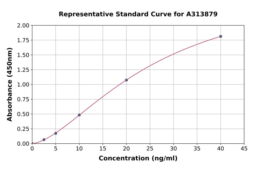 Standard Curve - Human MAP1A ELISA Kit (A313879) - Antibodies.com