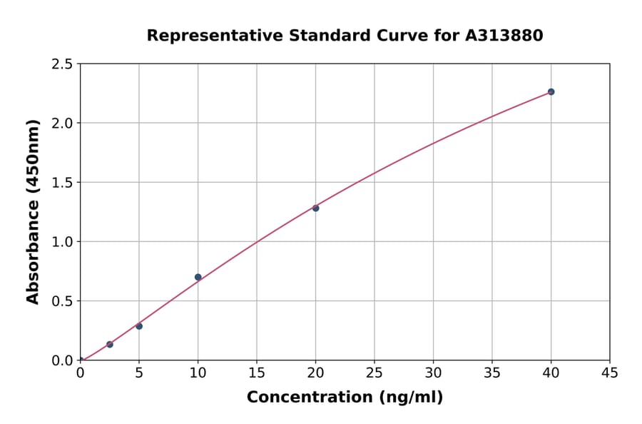 Standard Curve - Human STK3 / MST-2 ELISA Kit (A313880) - Antibodies.com