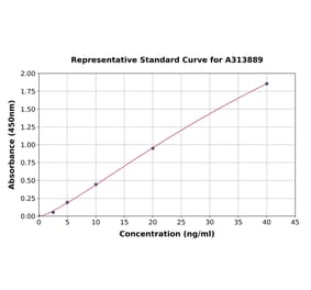 Standard Curve - Human Kallikrein 6 ELISA Kit (A313889) - Antibodies.com