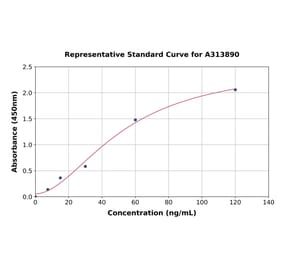 Standard Curve - Human htrA1 ELISA Kit (A313890) - Antibodies.com