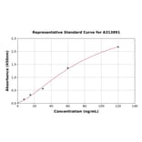 Standard Curve - Human STUM ELISA Kit (A313891) - Antibodies.com