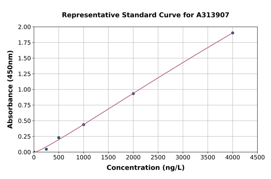 Standard Curve - Human Selenophosphate Synthetase 2 ELISA Kit (A313907) - Antibodies.com