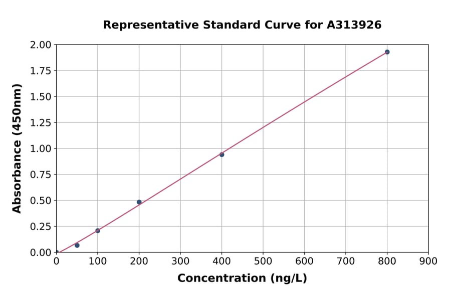 Standard Curve - Human TJP2 / ZO2 ELISA Kit (A313926) - Antibodies.com