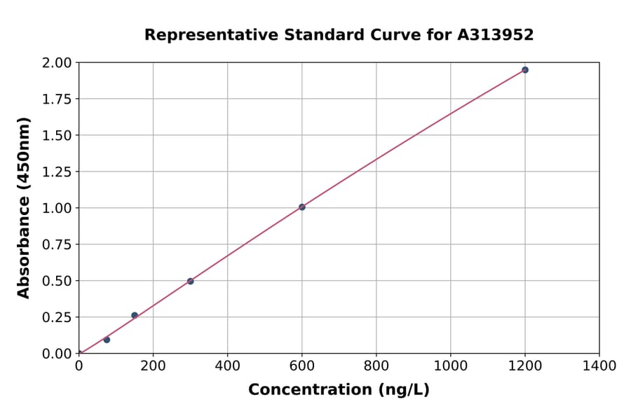 Standard Curve - Mouse GPR91 ELISA Kit (A313952) - Antibodies.com
