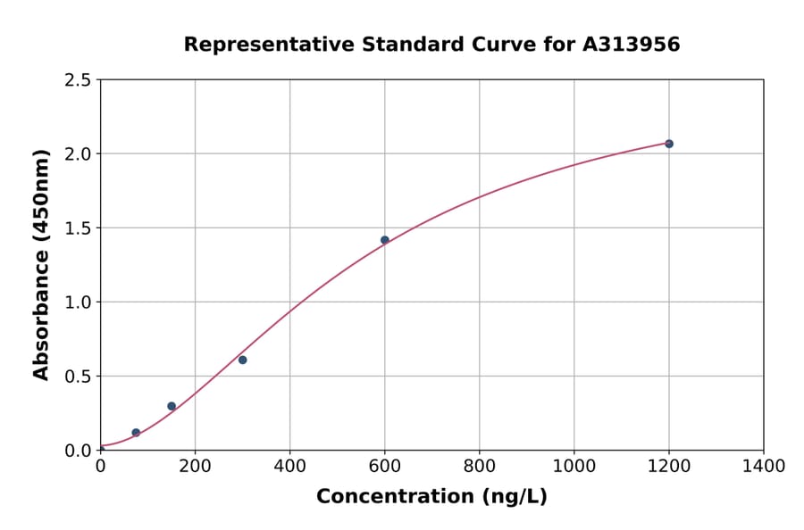 Standard Curve - Human ARHGEF37 ELISA Kit (A313956) - Antibodies.com