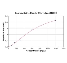 Standard Curve - Human IRF6 ELISA Kit (A313958) - Antibodies.com