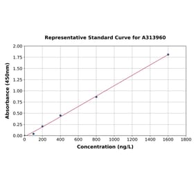 Standard Curve - Human Prohibitin ELISA Kit (A313960) - Antibodies.com