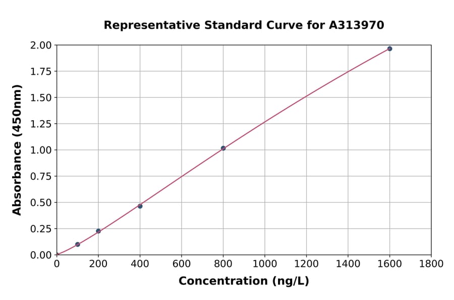 Standard Curve - Human PKC gamma ELISA Kit (A313970) - Antibodies.com