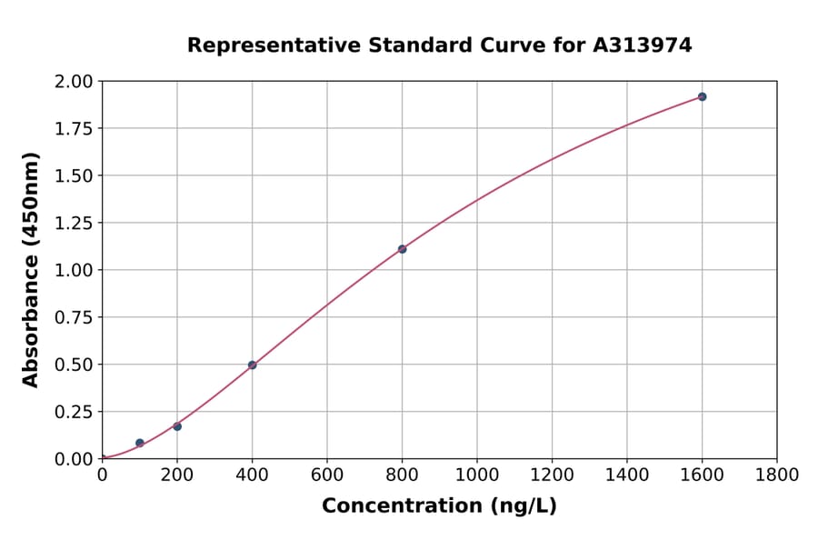 Standard Curve - Human BCAT2 ELISA Kit (A313974) - Antibodies.com