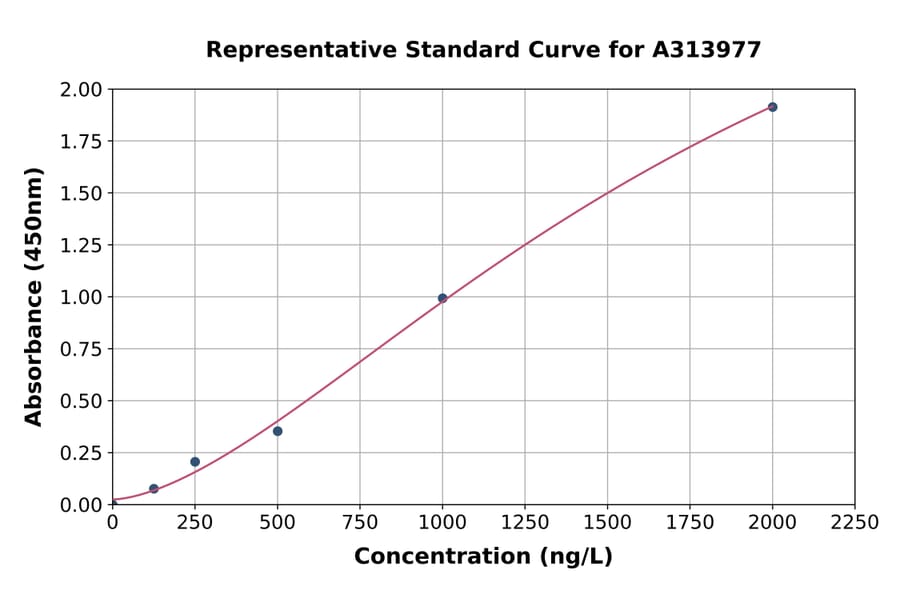 Standard Curve - Human RGS2 ELISA Kit (A313977) - Antibodies.com